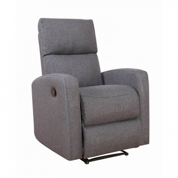 Recliner chair standard Rentasaur
